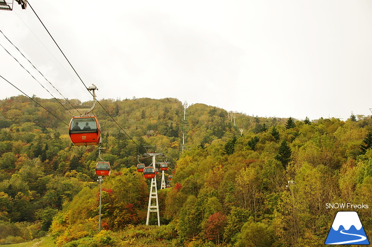 札幌国際スキー場『紅葉ゴンドラ』で紅葉の絨毯の上を♪